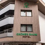 Hotel Grüner Baum Zell am See