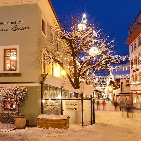 Hotel Grüner Baum 4*