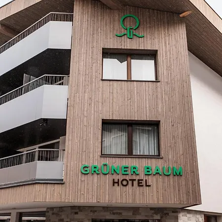 Hotel Grüner Baum Zell am See