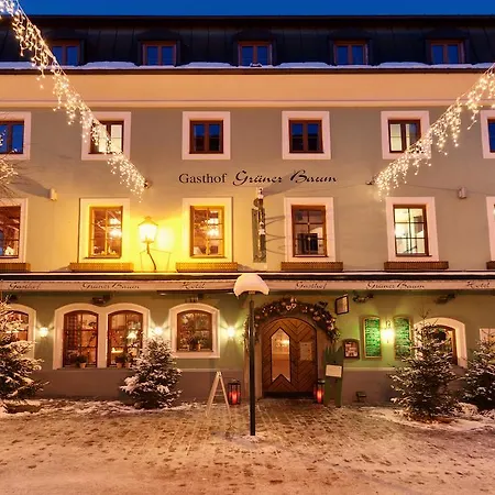 Gruener Baum Otel Zell am See