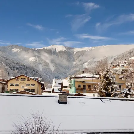 Gruener Baum Zell am See