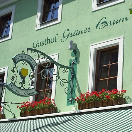 Hotel Grüner Baum
