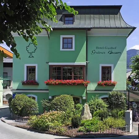 Hotel Gruener Baum