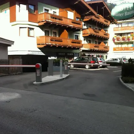 Gruener Baum 4* Zell am See