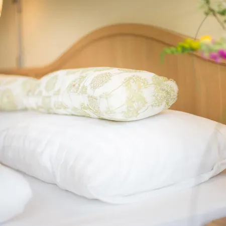 Gruener Baum Szálloda 4*