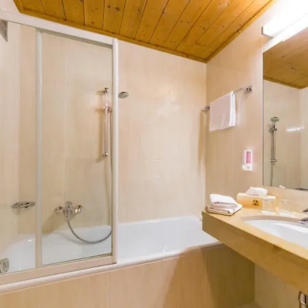 Hotel Gruener Baum 4*