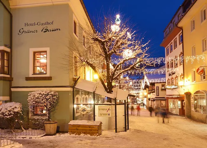 Hotel Gruener Baum 4*