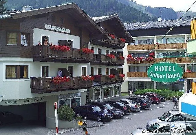 Gruener Baum Zell am See