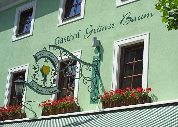 Hotell Gruener Baum
