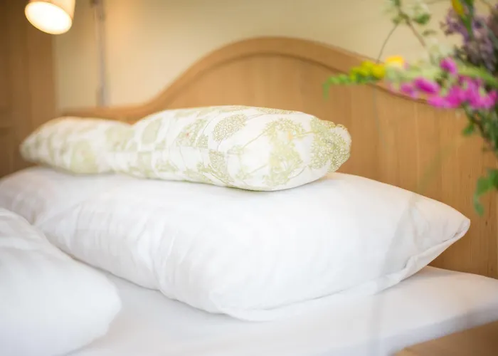 Gruener Baum Hotel 4*