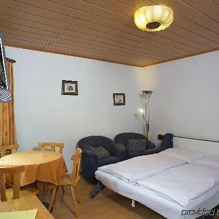 Hotel Gruener Baum Zell am See