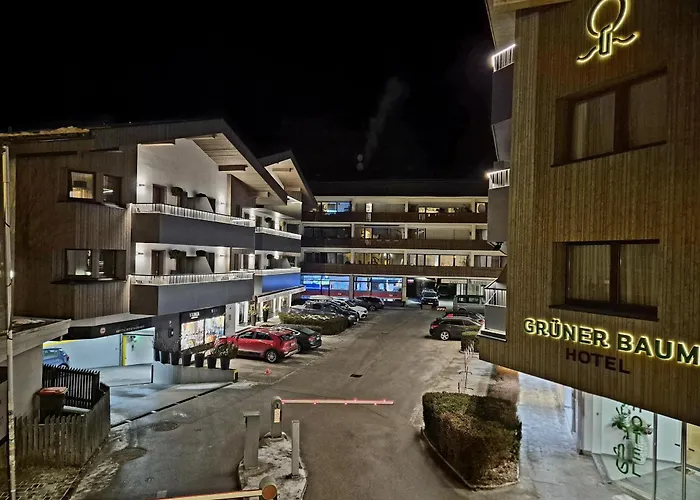 Gruener Baum Hotel 4*