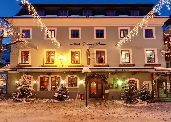 Gruener Baum Hotel Zell am See