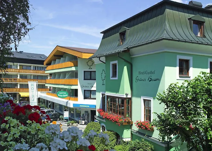 Gruener Baum Hotel 4*