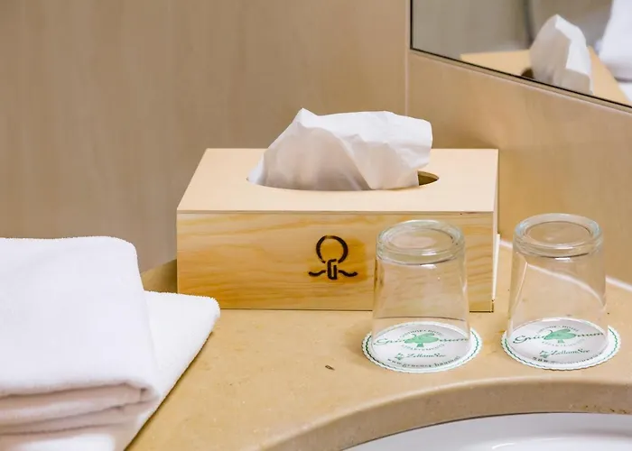 Hotel Gruener Baum 4*